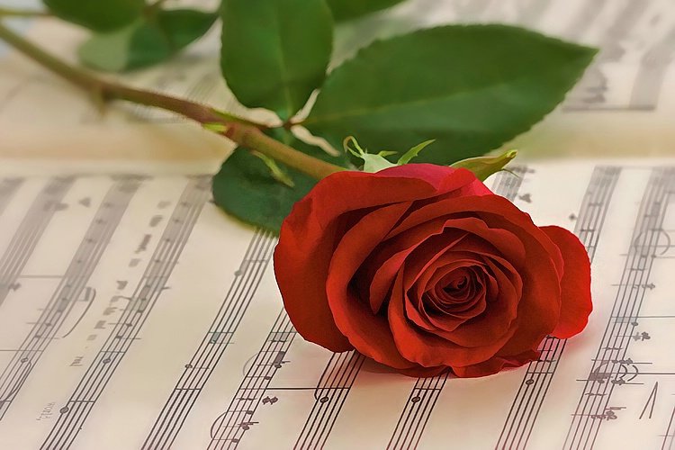 Rose on Sheet Music